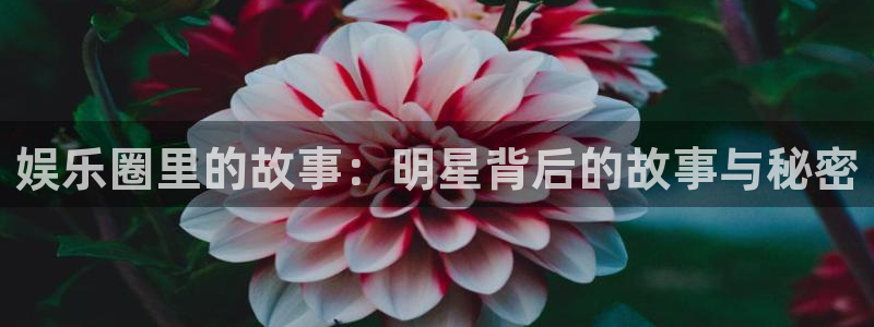 摩根娱乐：娱乐圈里的故事：明星背后的故事与秘密