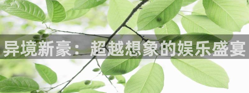 摩根娱乐：异境新豪：超越想象的娱乐盛宴
