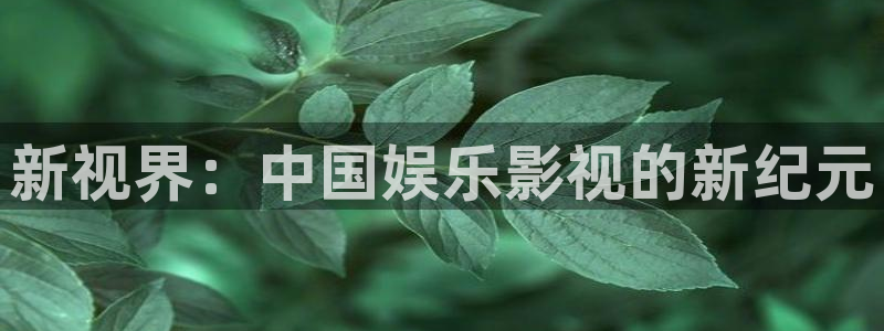 摩根娱乐：新视界：中国娱乐影视的新纪元