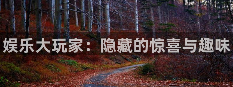 摩根娱乐：娱乐大玩家：隐藏的惊喜与趣味