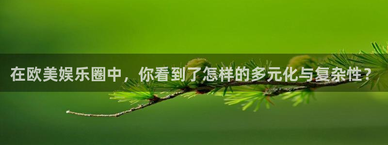 摩根娱乐：在欧美娱乐圈中，你看到了怎样的多元化与复杂性？