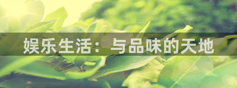 摩根娱乐：娱乐生活：与品味的天地