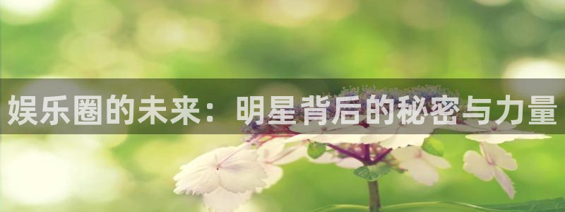 摩根娱乐：娱乐圈的未来：明星背后的秘密与力量