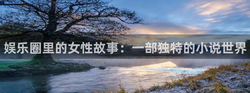 摩根娱乐：娱乐圈里的女性故事：一部独特的小说世界